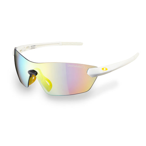 Bulldog Gold Sports Sunglasses